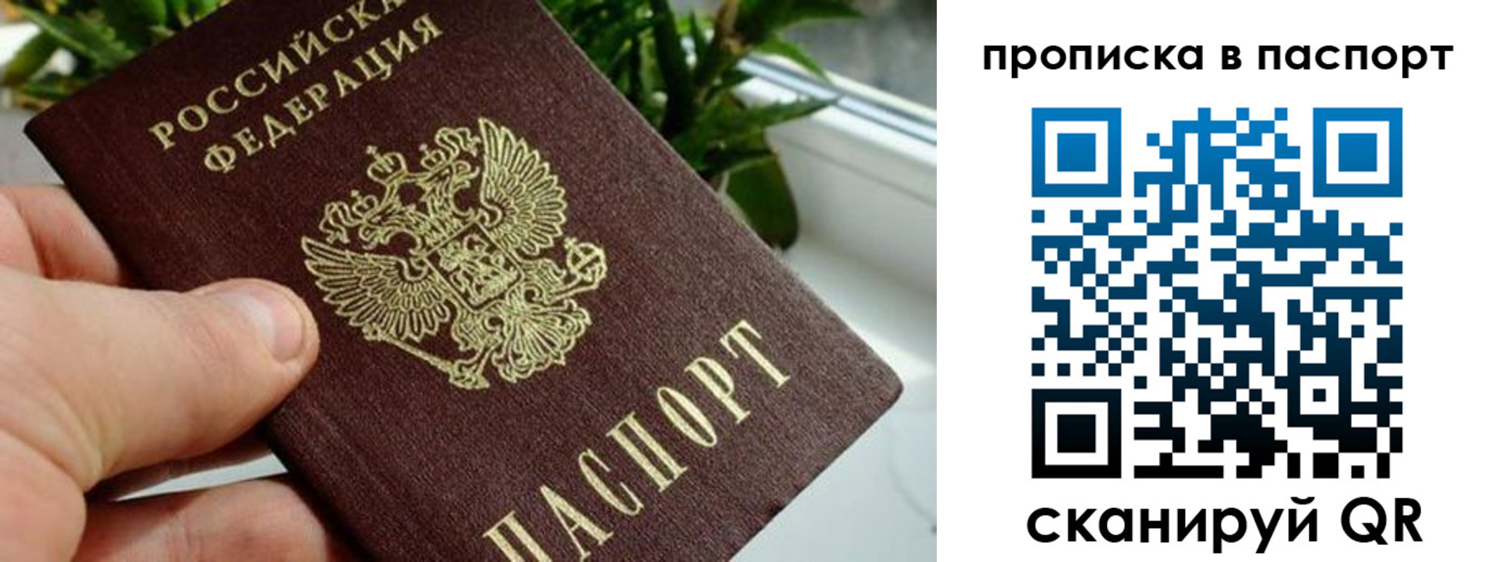 пропишу в квартире в Котельниково